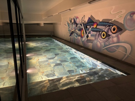 maconnerie-piscine-interieure-chauffee-reims-champigny.jpg